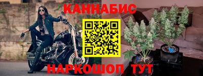apvp Ачхой-Мартан