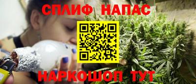 крисы Баксан